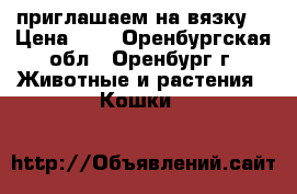 приглашаем на вязку  › Цена ­ 0 - Оренбургская обл., Оренбург г. Животные и растения » Кошки   